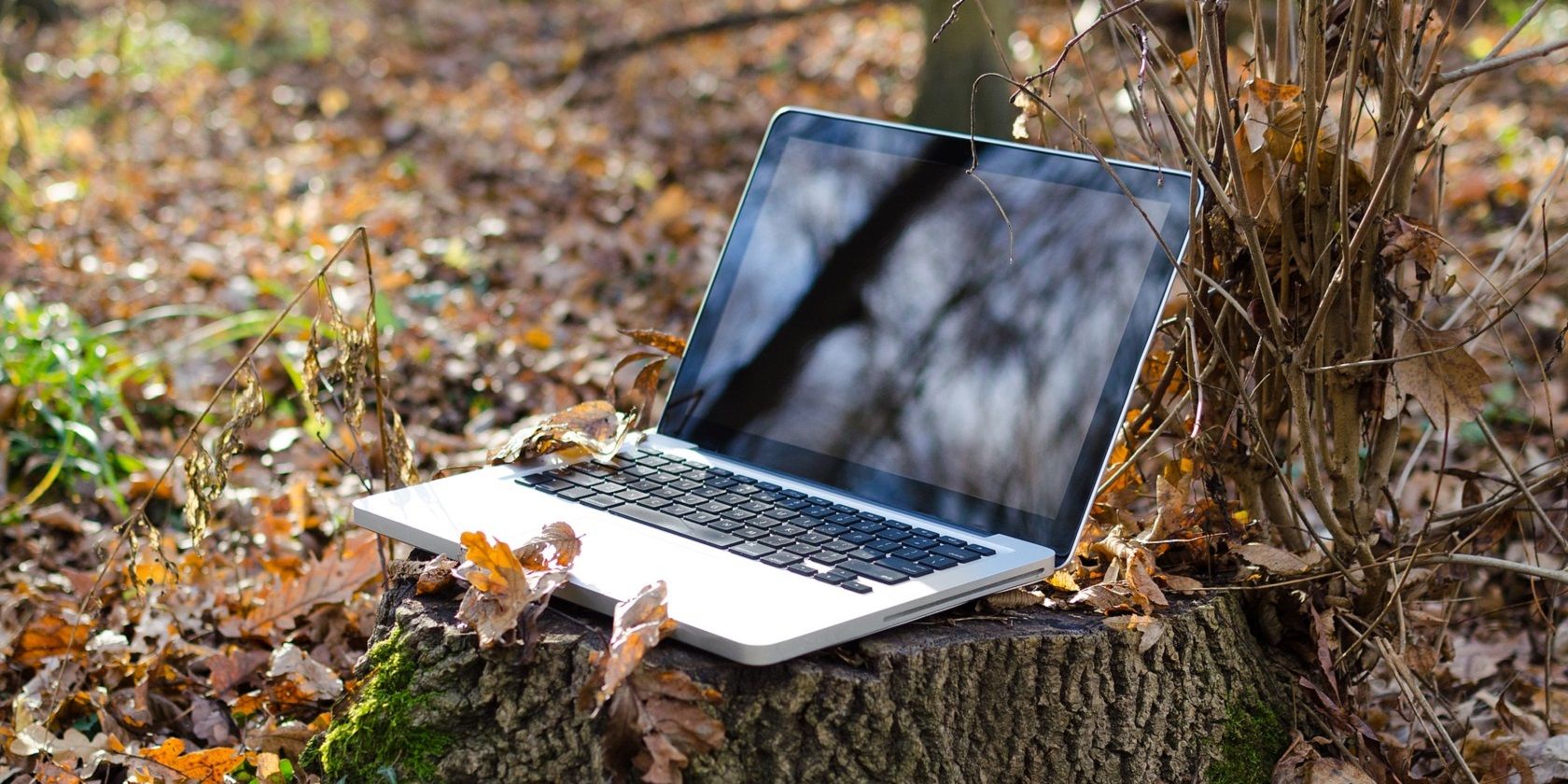 在 Windows 11 中打开远程桌面连接工具的 6 种方法