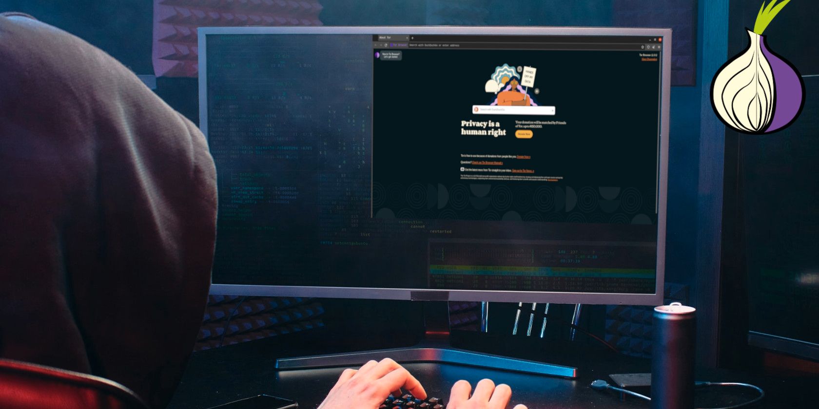 如何在 Linux 上安装 Tor 浏览器